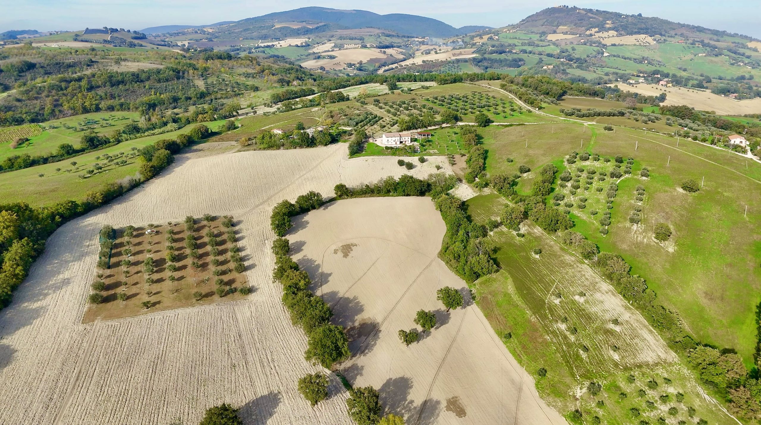 Pitino Agricolo farm in Borgo Monticole, Le Marche, Italy